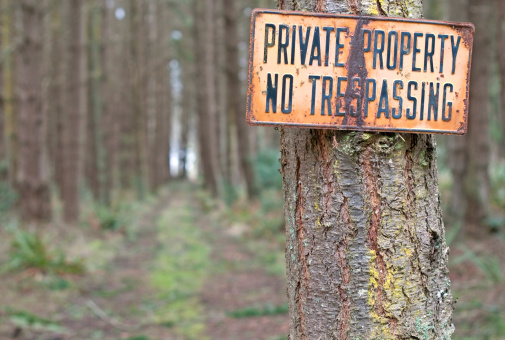 Private Property sign attached to spruce tree at head of dirt road leading through woods to ramshackle cabin