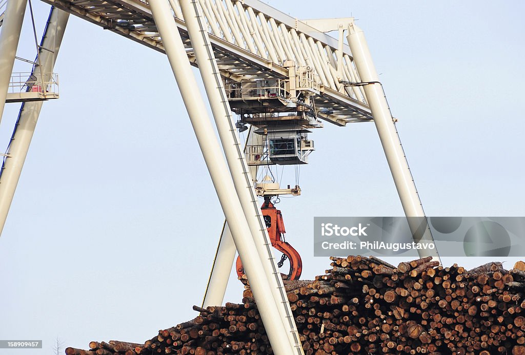 Grulla Gantry con madera luchar moving probar abeto de douglas árboles - Foto de stock de Grúas pórtico libre de derechos
