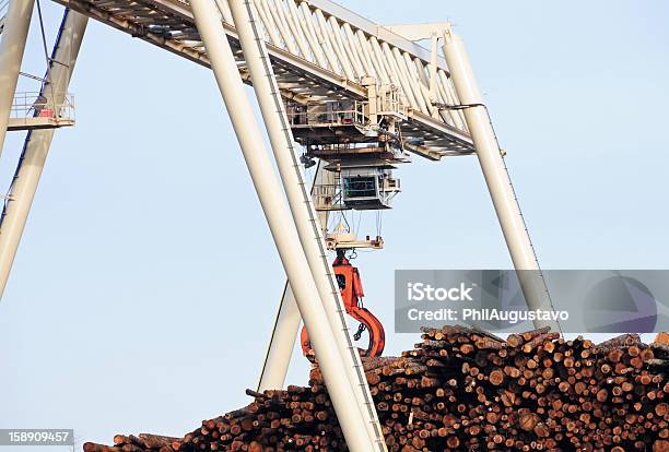 Gantry Gru Con Legno Di Abete Di Douglas Grapple Abbattuto Alberi - Fotografie stock e altre immagini di Gru a portale