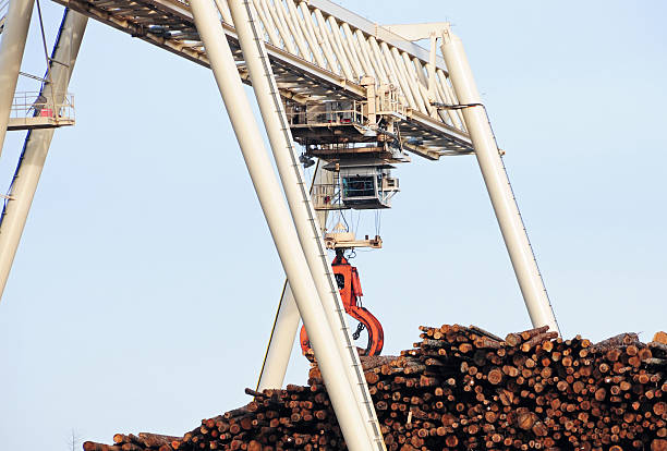 istock Gantry crane with timber grapple moving harvested douglas fir trees 158909457
