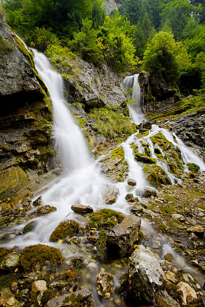 Waterfall in forest with rocks stock photo