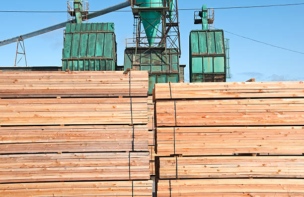 stare meble ułożone w redwood mill w północnej kalifornii - timber lumber industry redwood stack zdjęcia i obrazy z banku zdjęć