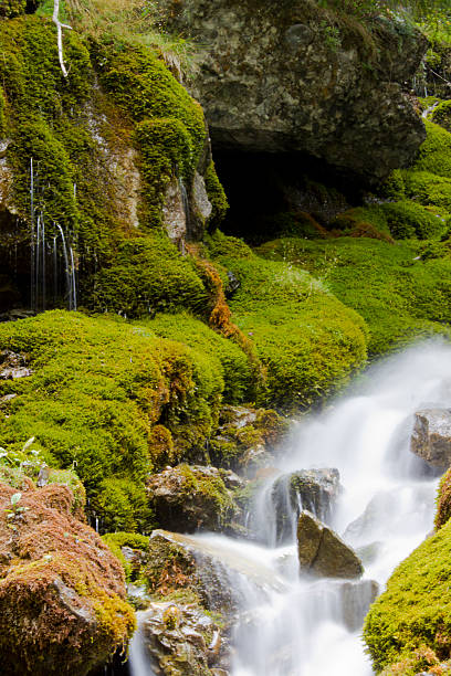 Waterfall in forest with rocks stock photo