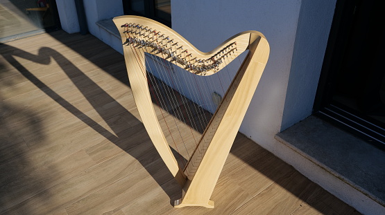 Libérer le pouvoir de la musique : Découvrir l'attrait des anciennes harpes celtiques