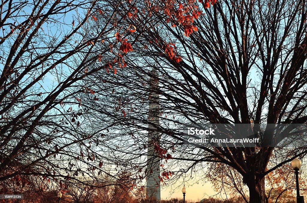 Washington D.C. - Foto de stock de Capitais internacionais royalty-free