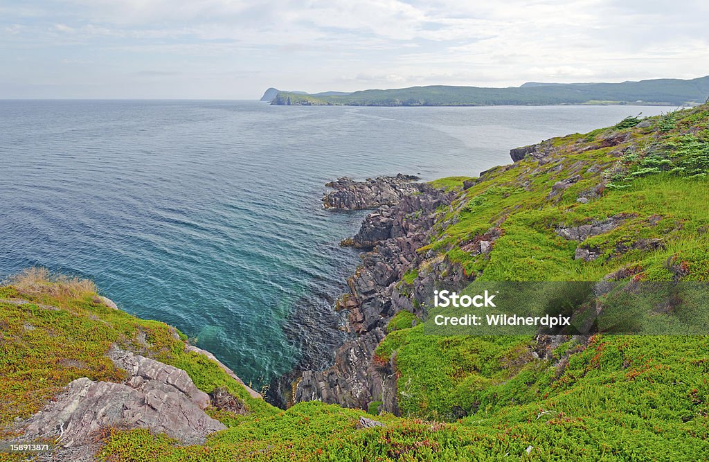Summer Views on a Coastal Trail Views along the Coastal Trail In New Perlican, Newfoundland Atlantic Ocean Stock Photo