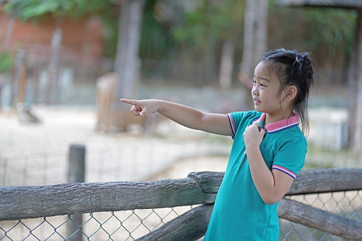 Young Asian girl pointing animals in the stall for her family with happiness when visiting zoo, Holiday activities