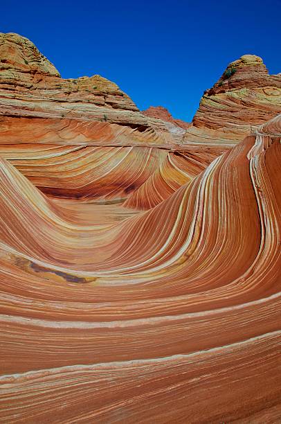 istock Fantastic Wave - Coyote Buttes, Vermillion Cliffs N.P. 158915653