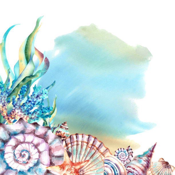 istock Marine composition on a blue background. Seaweed, corals and starfish. Watercolor illustration. Underwater inhabitants. 1589161065