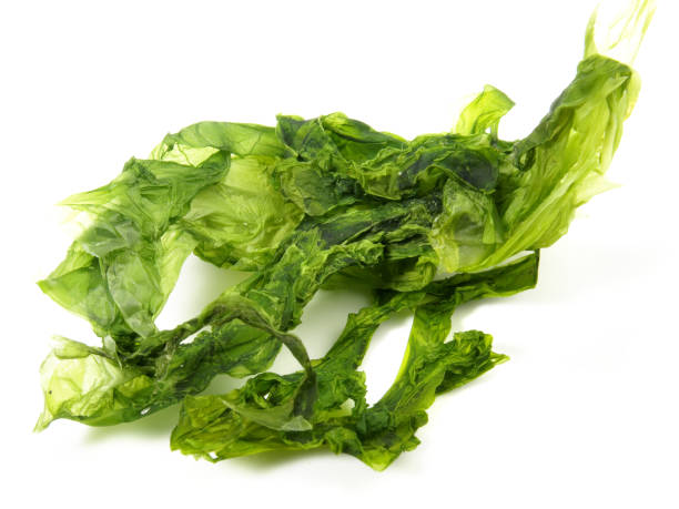 istock Dried Green Algae - Healthy Nutrition 1589167637