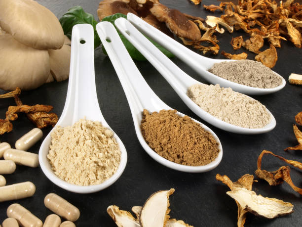 istock Medicinal Mushrooms - Healthy Nutrition 1589168684