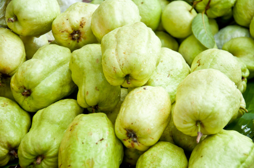 fresh green guava sell from market