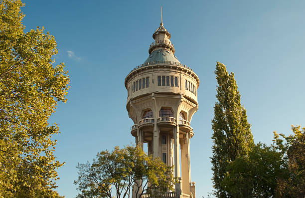 istock Margaret Island in Budapest (Hungary) 158918618