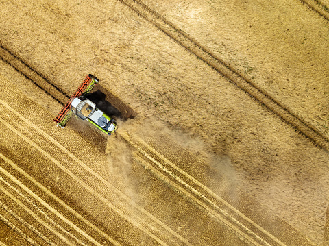 A top view of a combine harvester harvesting grain in a summer coloured field.