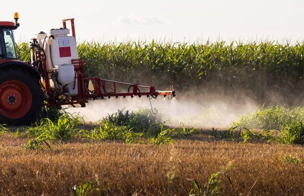istock Tractor spraying land in sunset. 1589251048