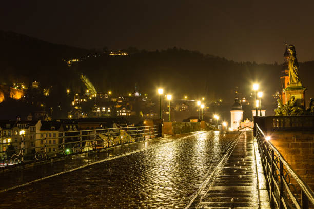 Heidelberg is a picturesque city in Germany known for its historic castle and charming Old Town. It's home to one of the oldest universities and has a romantic setting along the Neckar River. Heidelberg is a delightful destination with a mix of history, beauty, and cultural attractions.