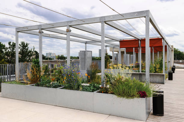 istock Terrace Garden on Roof Building. 1589265840