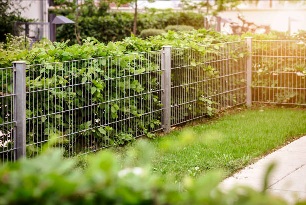 siepi con recinzione in rete in acciaio inossidabile del giardino del patio - fence formal garden gardening ornamental garden foto e immagini stock