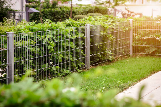 パティオガーデンのステンレス鋼メッシュフェンス付きヘッジ - fence formal garden gardening ornamental garden ストックフォトと画像