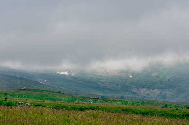 istock alpine meadows with green trees in the mist 1589304134