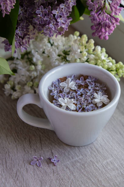 istock Tasty black tea in white cup on windowsill with aromatic lilac flowers. Spring composition Cup of lilac tea drinking recipe flowering branches of purple lilac. Still life for copy space greeting card, poster, banner, wallpaper 1589306285