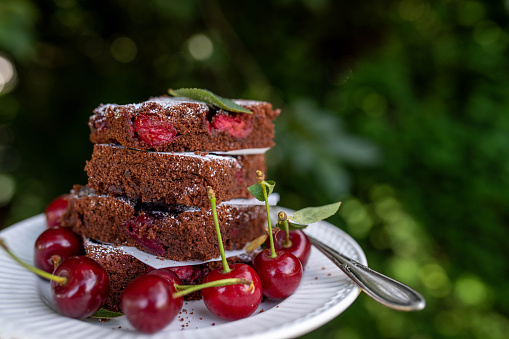 Delicious chocolate cherry cake. Served stacked on a plate with fresh sour cherries on nature background in the garden.