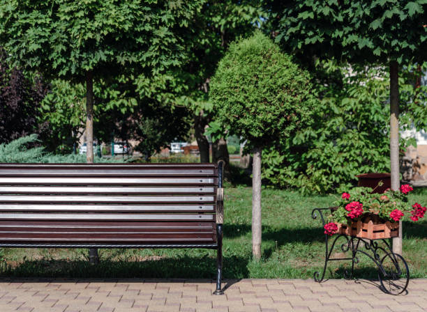 istock vintage bench in the park without people 1589308960