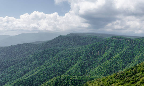 istock high mountains and wild forest in thailand 1589329378