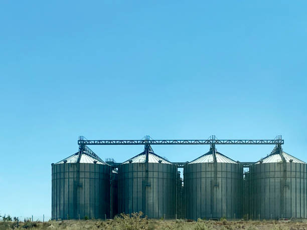 istock Grain storage silos. Silos for storage and drying of grain crops 1589343491