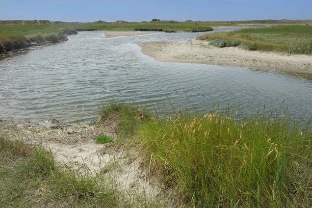 istock Summertime on the Wadden Island Texel 1589362067