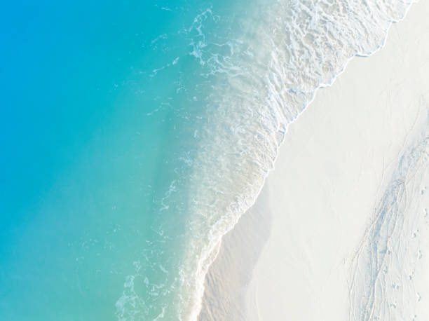 istock Beach Wave water in the Tropical summer beach with  sandy beach background 1589364836