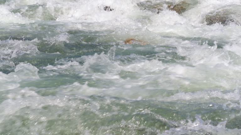 Sun shines on rapid river water, white waves over small rocks, closeup abstract detail