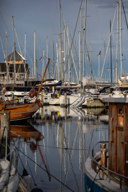 istock Marselisborg Marina in the Evening 1589412009