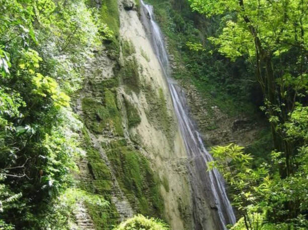 istock The water fall view in  the mountain view  in the forest 1589412018