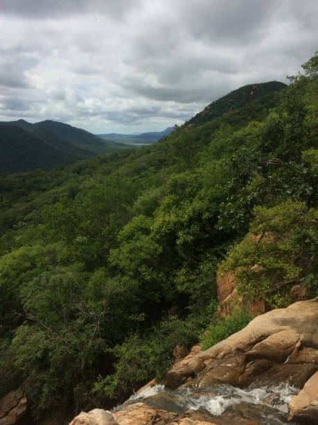 The green mountain view with water fall