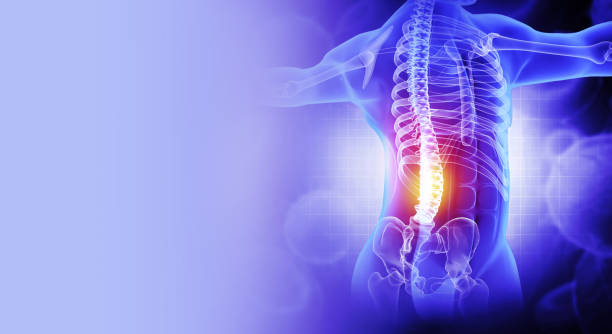 pain in the spine, pain in the back, highlighted in red, x-ray view. 3d illustration stock photo