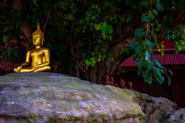 Free Stock Photo of Buddha Statue Standing in Front of Trees | Download ...