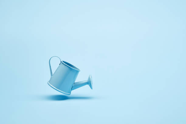 istock Garden watering can hover over the surface 1589440516