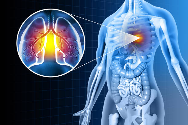 istock Human lung disease. Respiratory system, human health. 3d illustration 1589448515