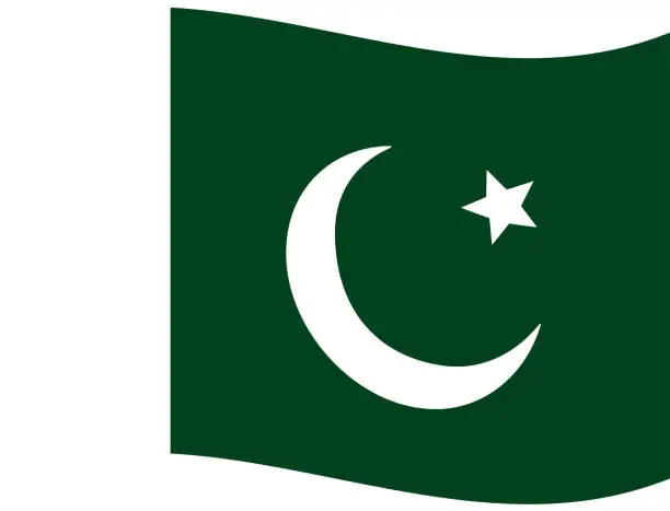 Vector illustration of Flag of Pakistan. Pakistan flag. Pakistan flag wave