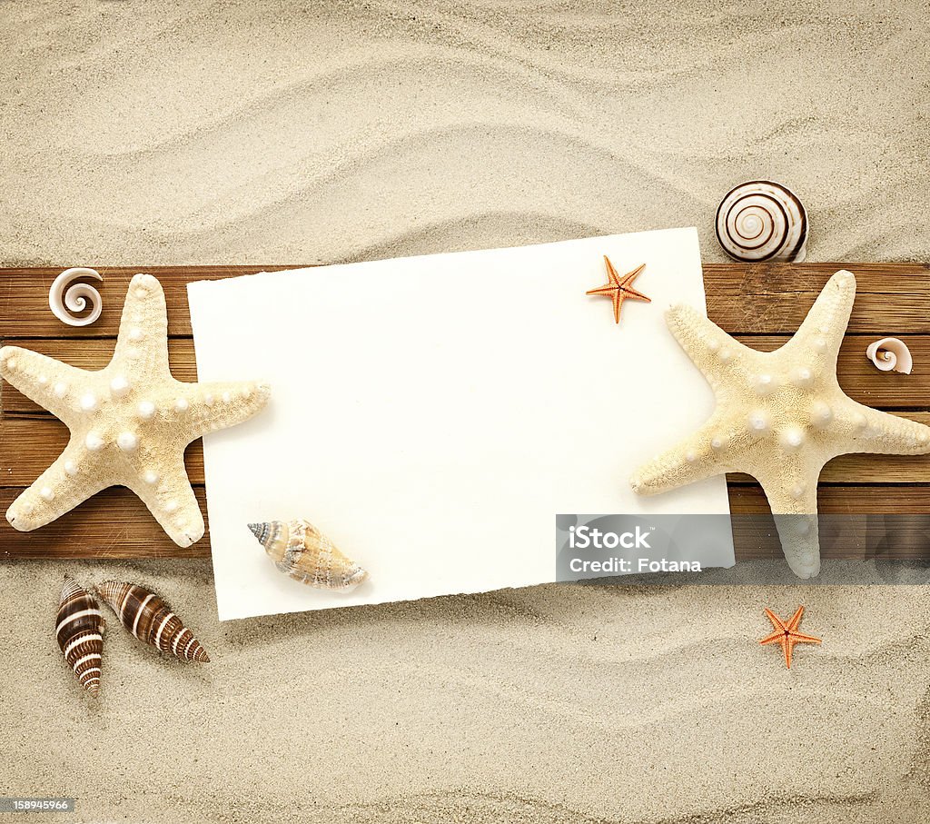 Marine still life. Few marine items on a wooden boards against sandy background. Animal Shell Stock Photo