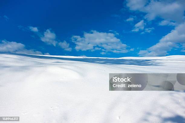 Wintry Landscape Stock Photo - Download Image Now - Ice Sheet, Snow, Agricultural Field