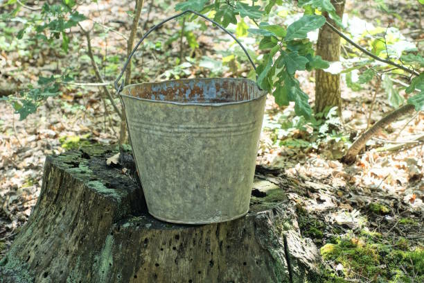 istock one old gray large metal bucket stands on a stump 1589464514