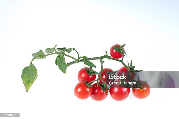 Foto de Tomates Cereja e mais fotos de stock de Agricultura - Agricultura, Alimentação Saudável, Colher - Atividade agrícola