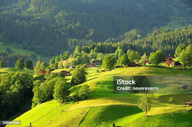 Grindelwald Village En Berner Oberland Suiza Foto de stock y más banco de imágenes de Aire libre - Aire libre, Aldea, Alpes Bernese