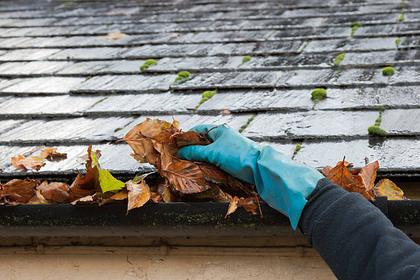 istock Clearing autumn gutter blocked with leaves by hand 158947442