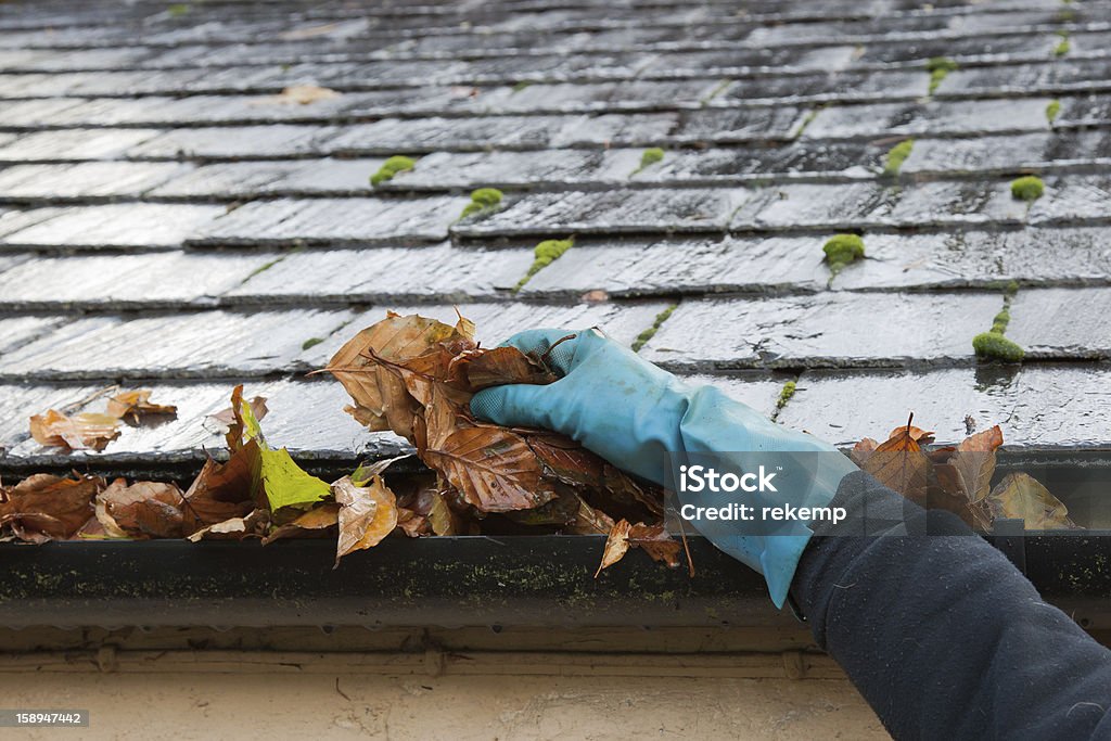 Clearing autumn gutter blocked with leaves by hand Roof Gutter Stock Photo