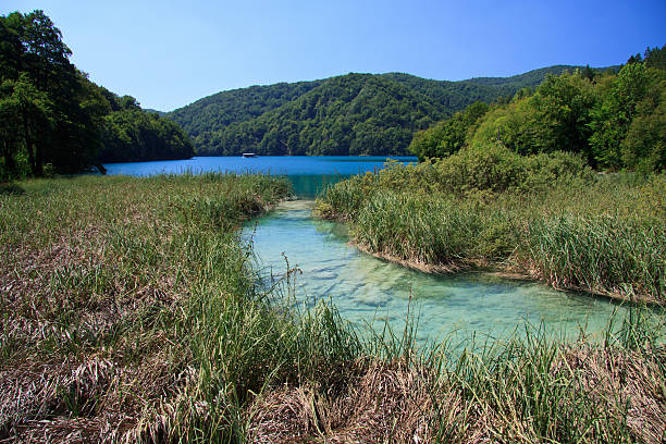 parque nacional de plitvice-croácia - herb famous place backwater standing water - fotografias e filmes do acervo