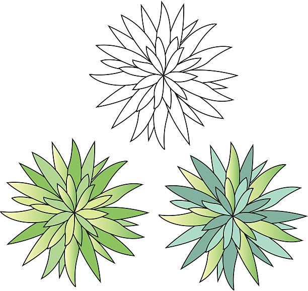 plant2 vector art illustration