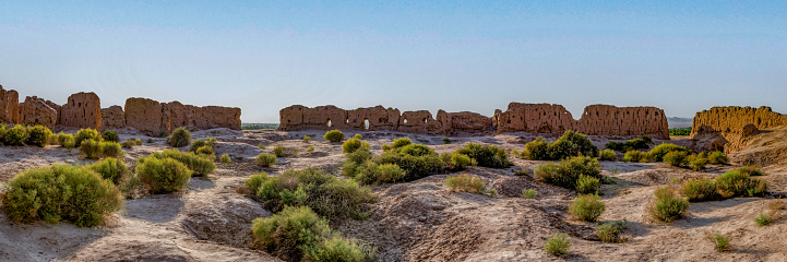 A sweeping panorama encapsulates the expansive sandy desert, featuring solitary vegetation on arid terrain, and a stunning array of rocks shaped by nature during the sunset in Timimoun, the petite Tassili in Algeria.